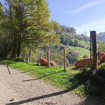 Hostal-Cicloturismo Lopenea Leitza  Eksteriør billede