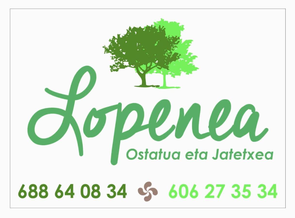 Hostal-Cicloturismo Lopenea Leitza  Eksteriør billede