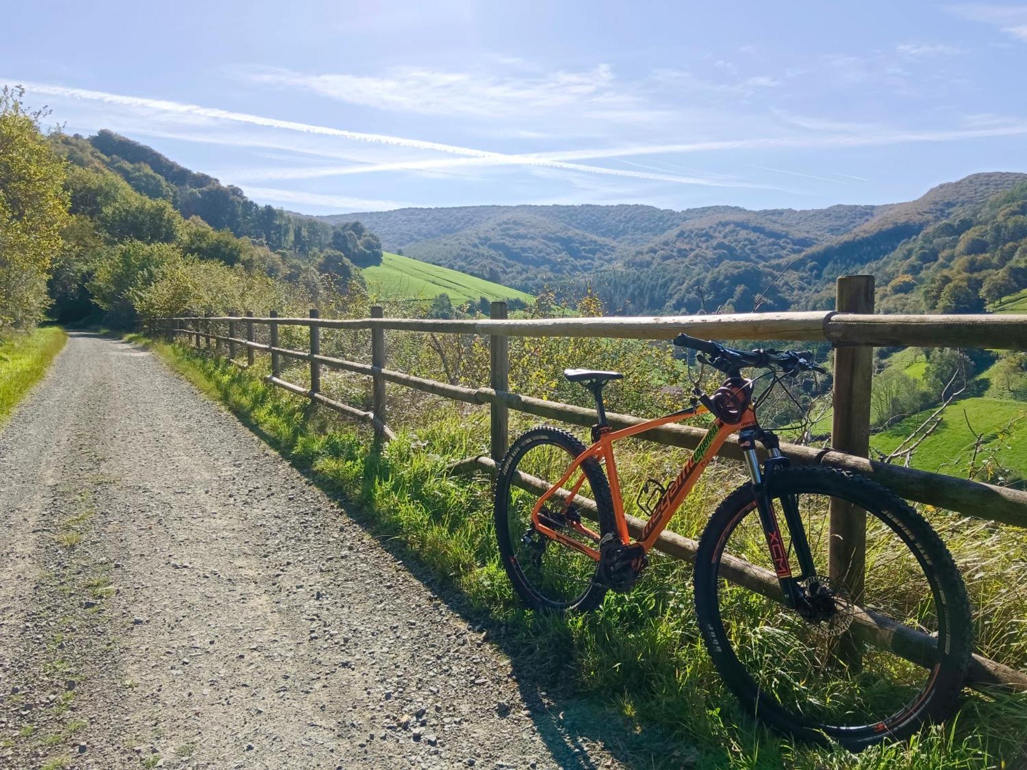 Hostal-Cicloturismo Lopenea Leitza  Eksteriør billede